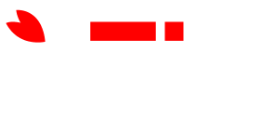 テストHobbySakura